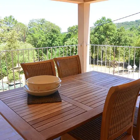 Angelina Villa